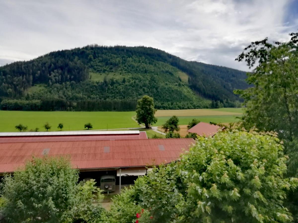 Ferienwohnung Erni Feldkirchen In Kaernten Ngoại thất bức ảnh